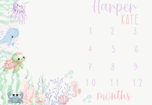 Load image into Gallery viewer, Milestone Blankets