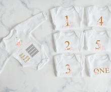 Load image into Gallery viewer, Floral Swan Monthly Milestone Onesie Set