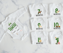 Load image into Gallery viewer, Farm Monthly Milestone Onesie Set