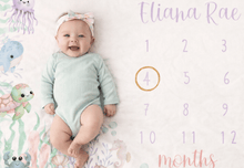 Load image into Gallery viewer, Milestone Blankets