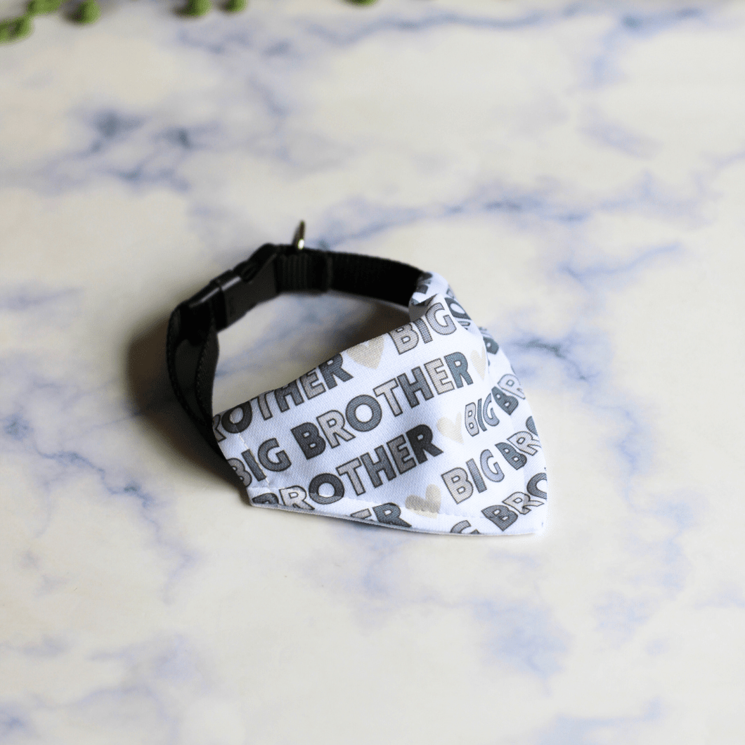 Personalised Dog Bandana & Collar