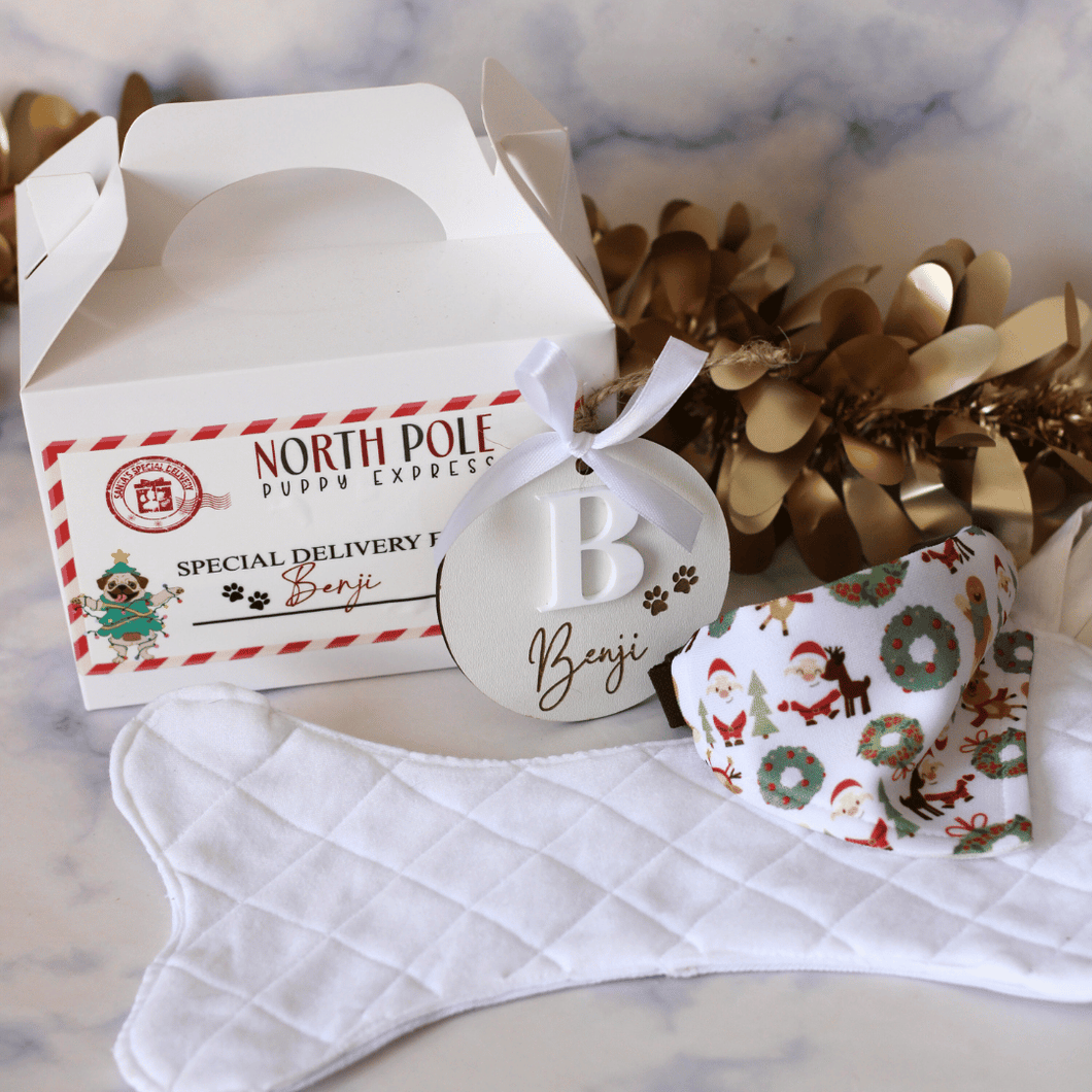 Paw-liday Celebrations Bundle