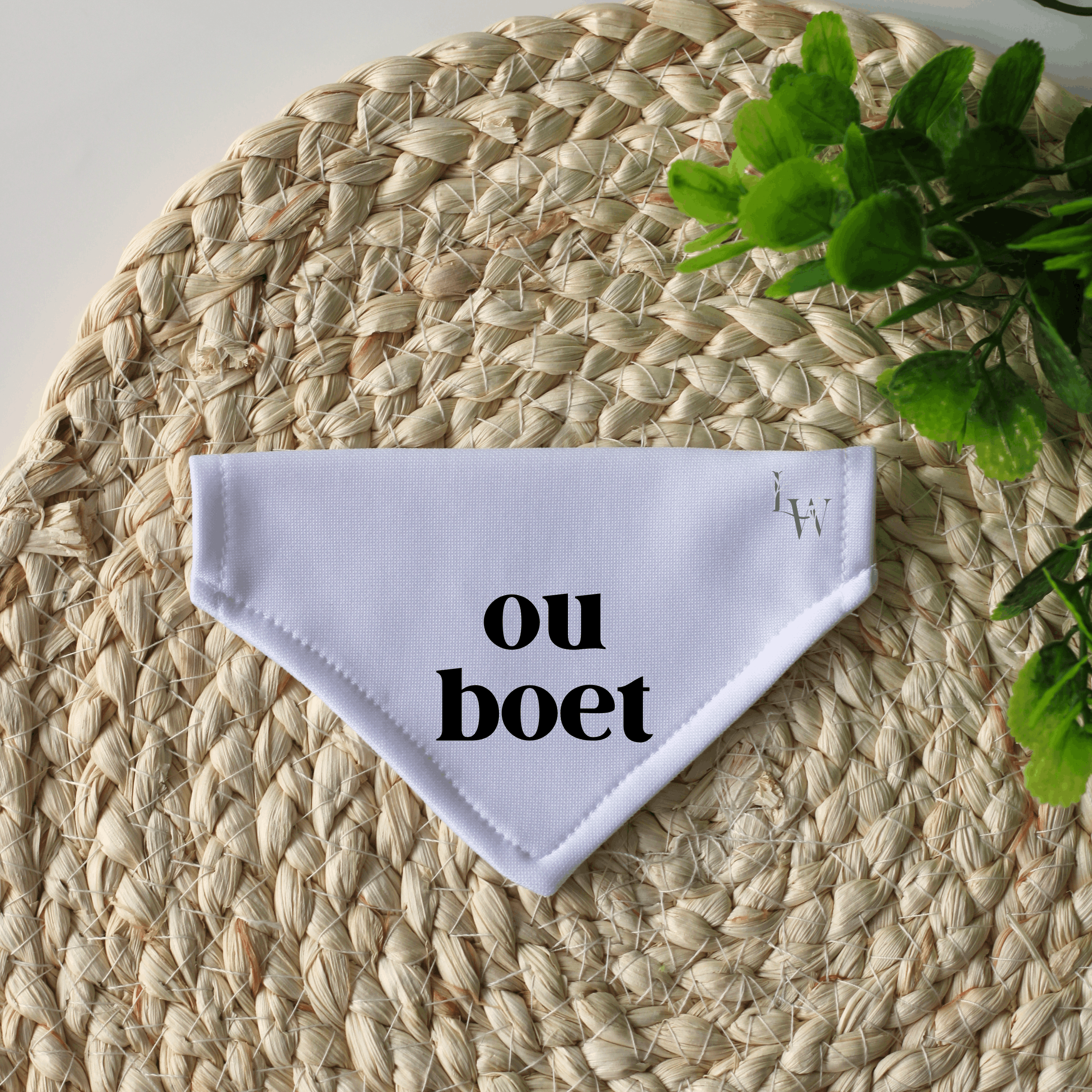 Big Bro Personalised Pregnancy Announcement Dog Bandana