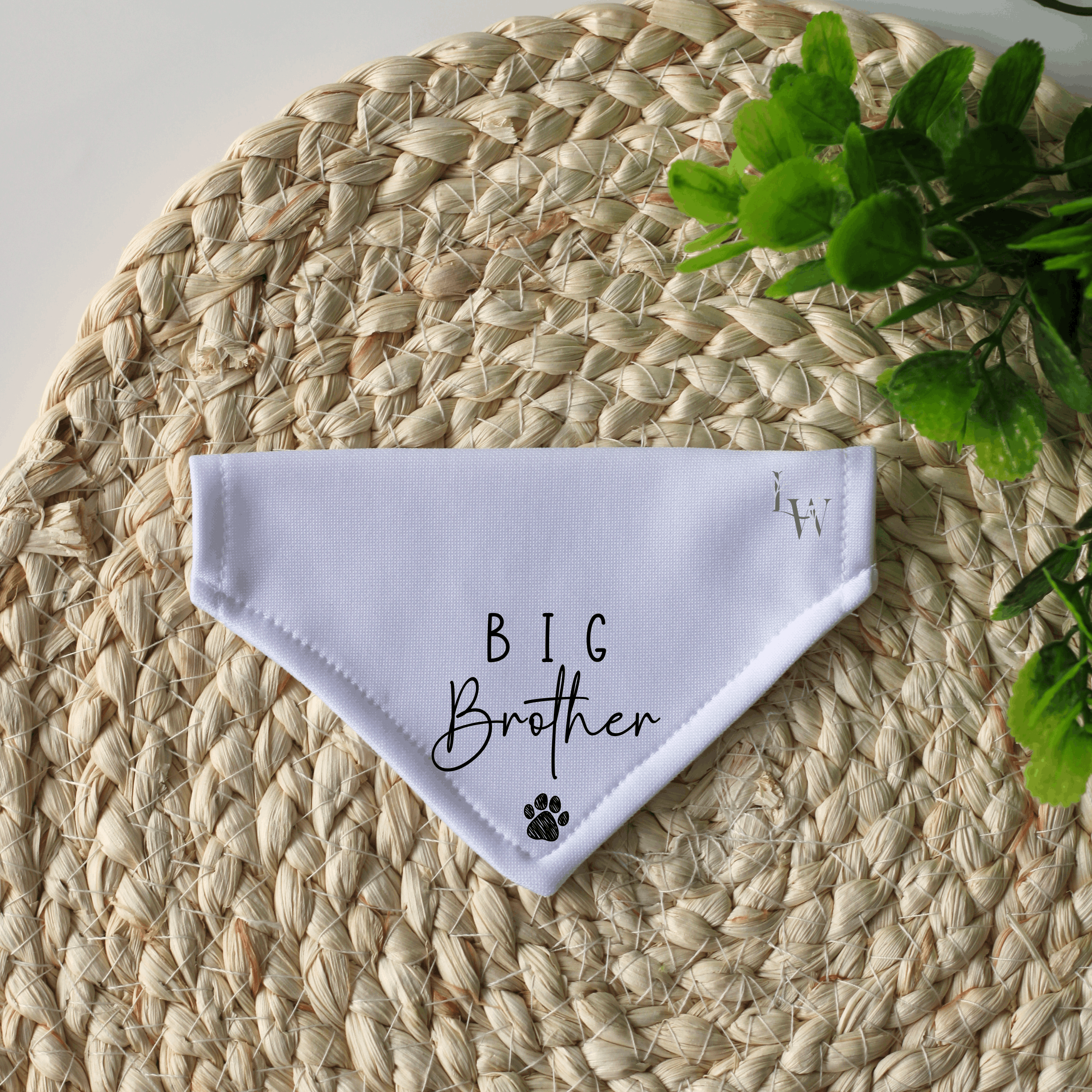 Big Brother Personalised Pregnancy Announcement Dog Bandana