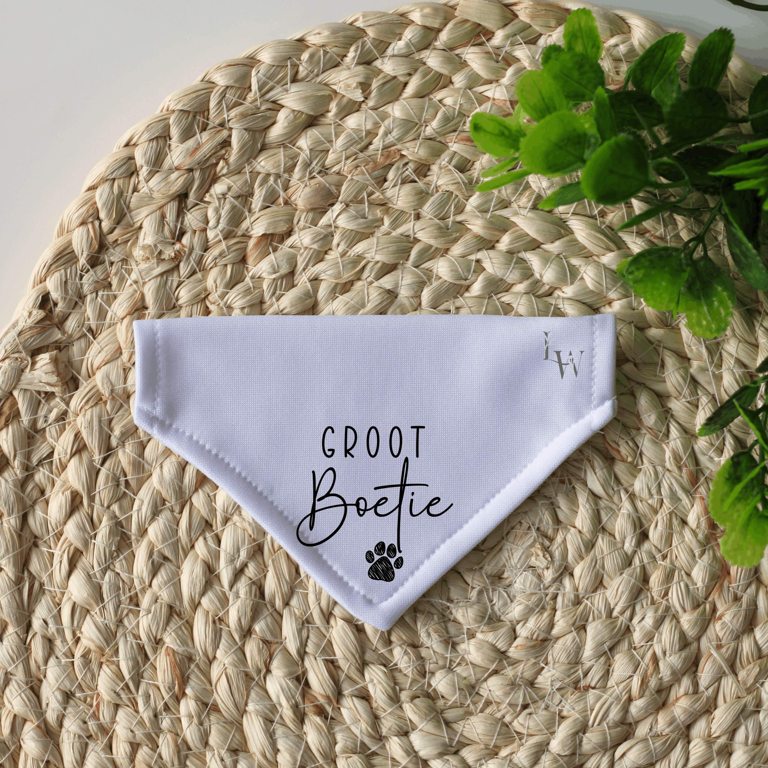Big Brother Personalised Pregnancy Announcement Dog Bandana