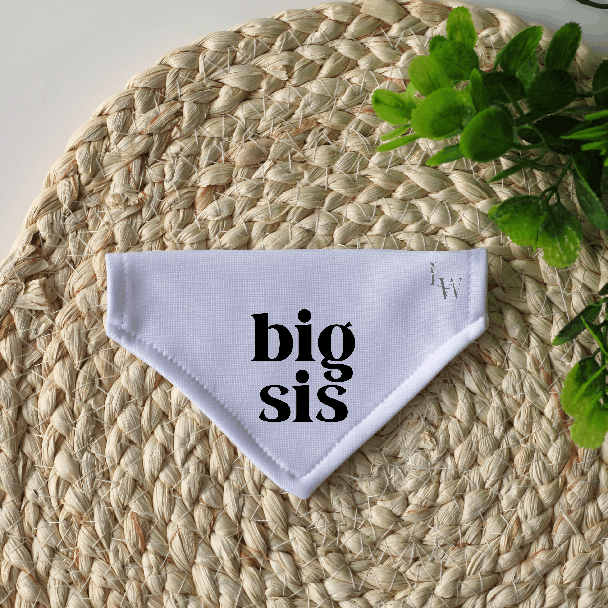 Big Sis Personalised Pregnancy Announcement Dog Bandana