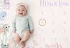 Milestone Blankets